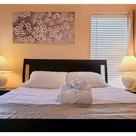 Modern Comfort Stays Alexandria Bagian luar foto