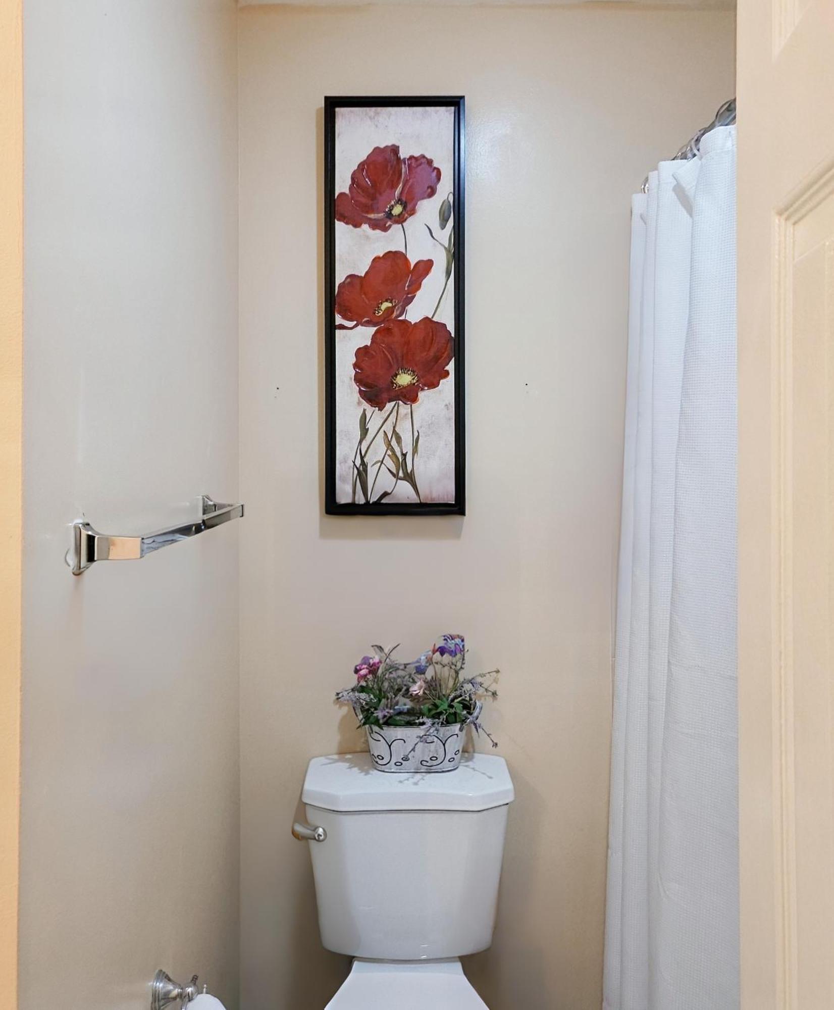 Modern Comfort Stays Alexandria Bagian luar foto