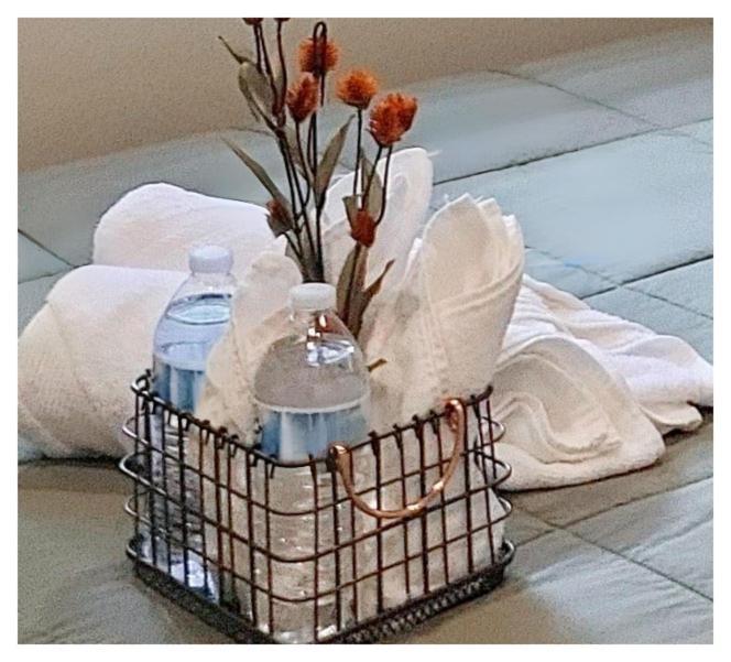 Modern Comfort Stays Alexandria Bagian luar foto